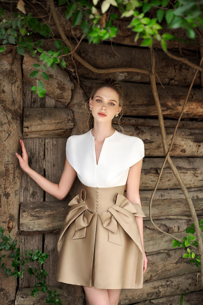 Bow Taffta Mini Dress