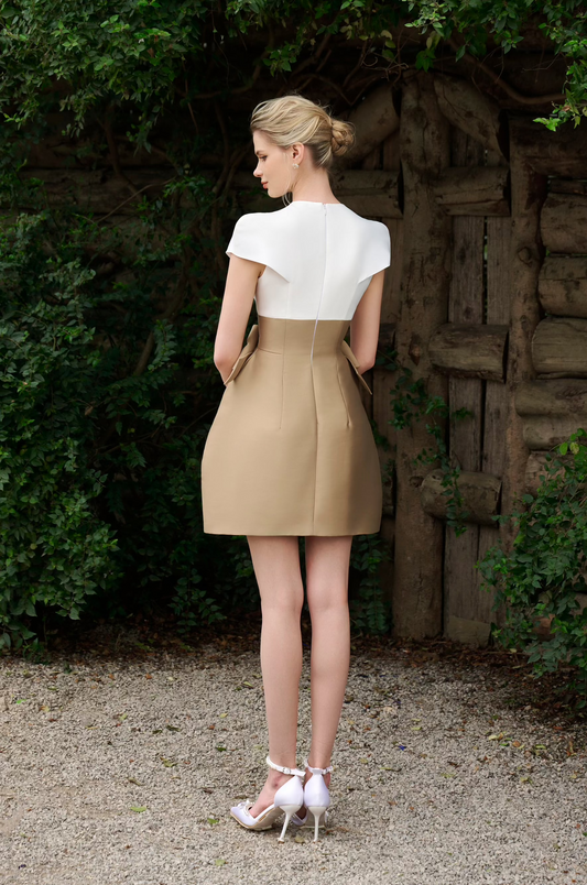 Bow Taffta Mini Dress