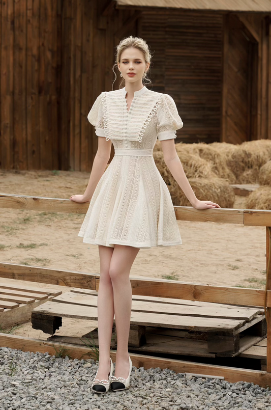 Maria Ivory Lace Mini Dress