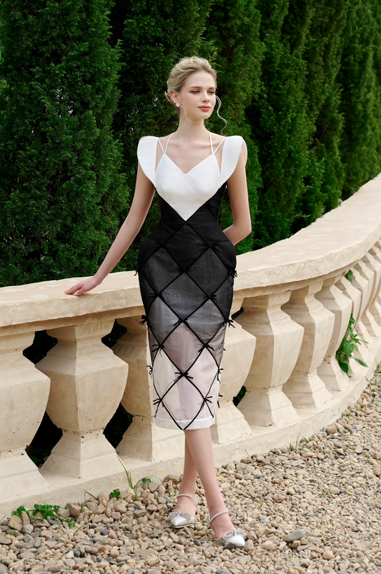 Black White Pencil Dress