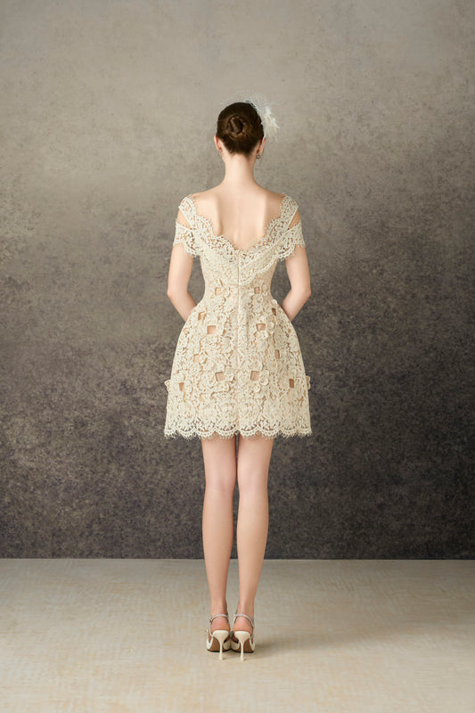 Ivory Floral 3D Mini Lace Dress