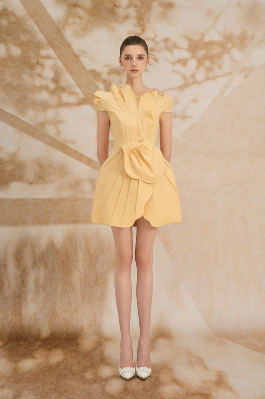 Iris Pleated Mini Dress
