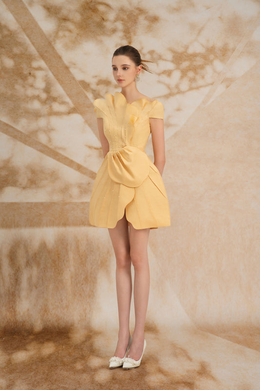Iris Pleated Mini Dress