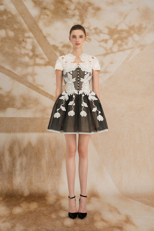 Black White Mini Lace Dress