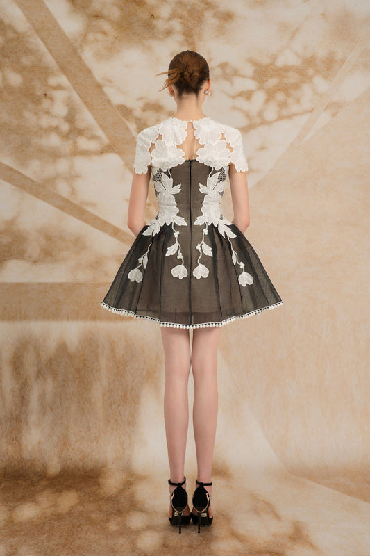 Black White Mini Lace Dress