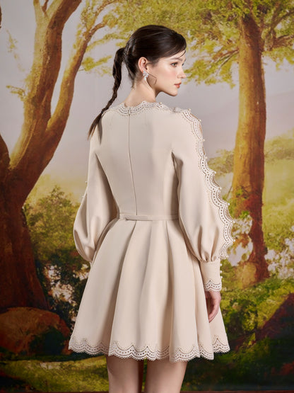 Ivory V-neck Embroidery Mini Dress