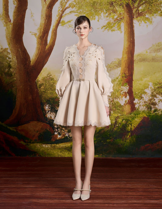 Ivory V-neck Embroidery Mini Dress