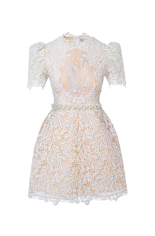 Seahorse Pattern Mini Lace Dress